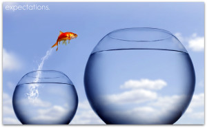 Goldfish-Jump-Out-Of-Bowl-2-expectations