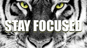 stay-focused